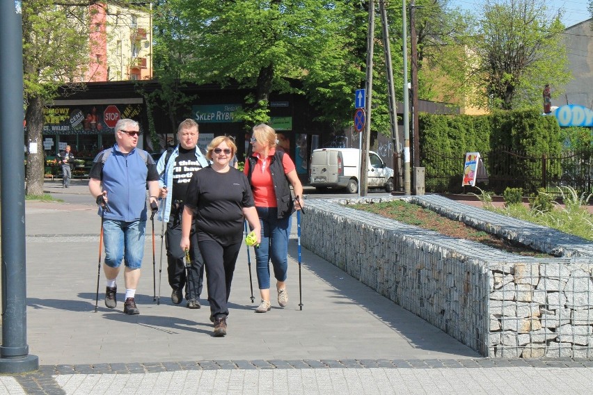 Międzygrupowy Zlot Nordic Walking w Zawierciu