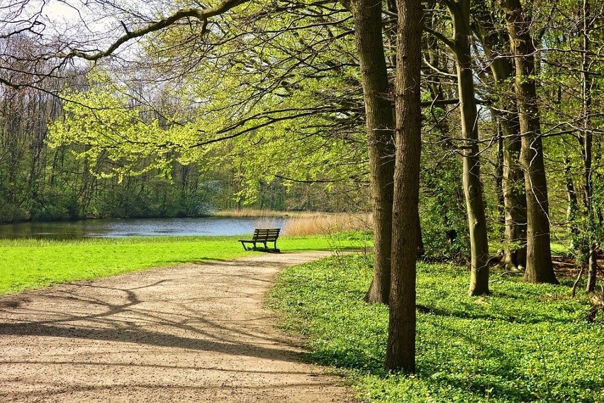 Spacer w parku: Wybierzcie się na romantyczny spacer w...