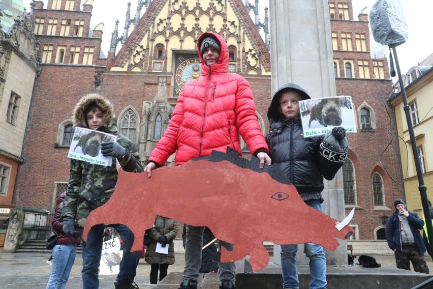 "Sto lat, niech ryją, ryją nam!" We Wrocławiu odbył się protest w obronie dzików (FILM, ZDJĘCIA)