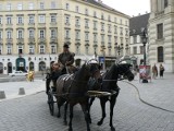  Z kartą taniej jeździć po Wiedniu 