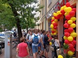 Ogromna kolejka przed Saray Kebab w Kielcach. Tłumy ustawiły się po darmowe jedzenie. Zobacz zdjęcia i film 