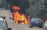 Augustów. Pożar samochodu na ul. Armii Krajowej. Auto spłonęło doszczętnie [ZDJĘCIA]