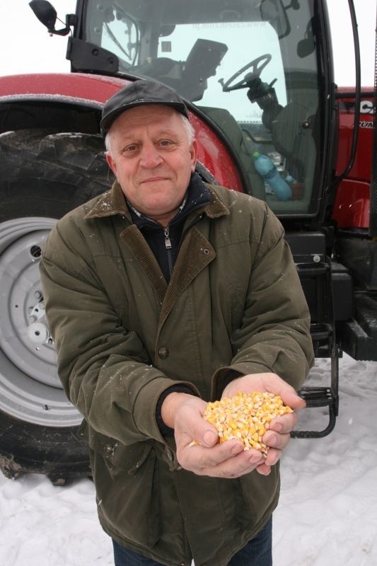 Tadeusz Gajos trzyma w dłoniach ziarna kukurydzy. Rolnik...