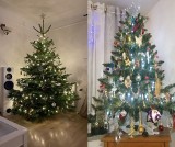 Mieszkańcy województwa lubelskiego ubrali już choinki! Zobacz zdjęcia świątecznych drzewek naszych Czytelników z Puław i Świdnika