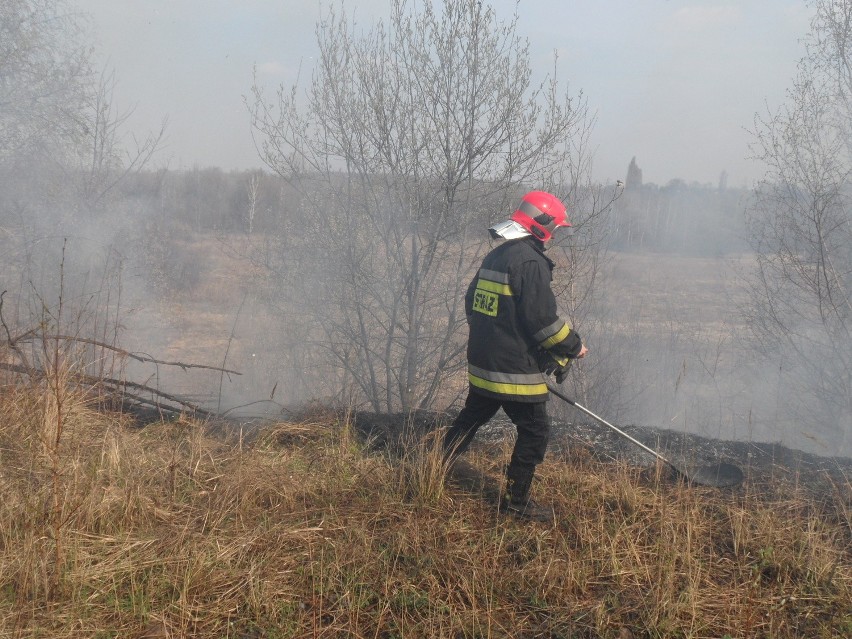 Pożar łąki w Milowicach