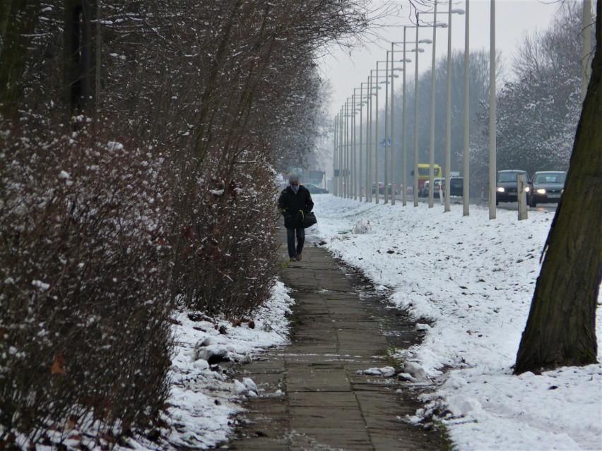 Zima w Pabianicach. Jak wygląda miasto przykryte śniegiem? ZDJĘCIA