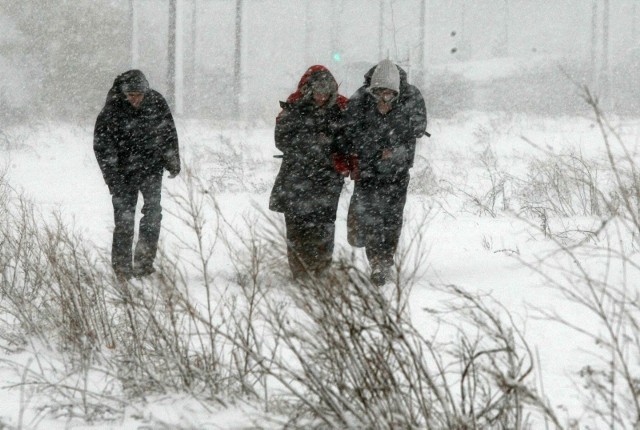 Zamiecie i zawieje śnieżna dotkną wiele wielkopolskich powiatów. Silny wiatr sprawi, że temperatura odczuwalna będzie znacznie niższa.