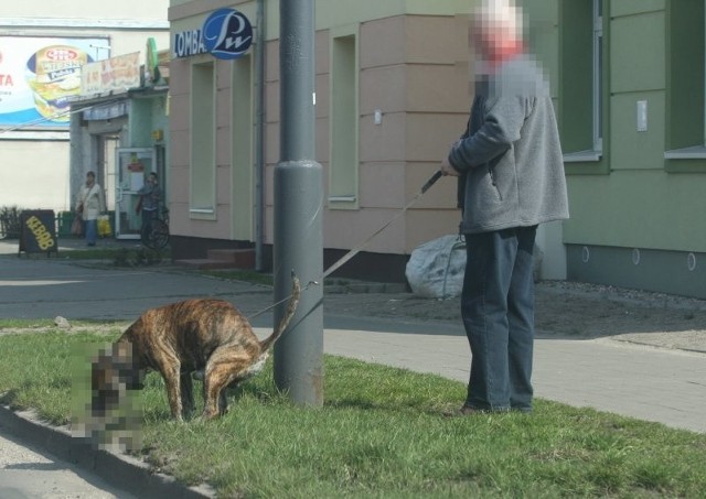 Pozostawianie odchodów po swoim czworonogu powoduje, że na ulicach miasta tworzy się kloaka.