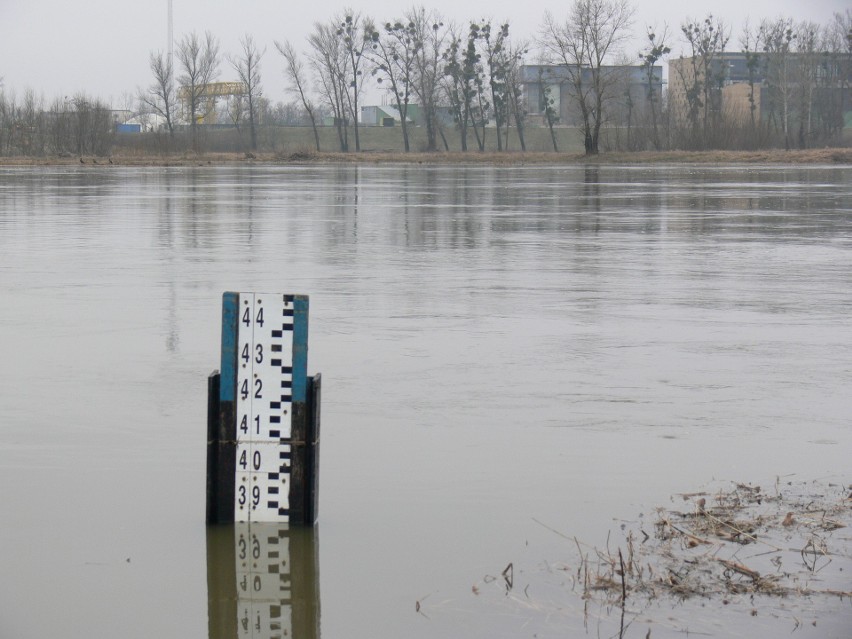 W poniedziałek 1 marca stan wody na Wiśle w Sandomierzu...