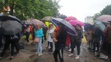 Po śmierci Doroty w Nowym Targu łodzianki protestowały przed siedzibą Okregowej Izby Lekarskiej w Łodzi ZDJĘCIA