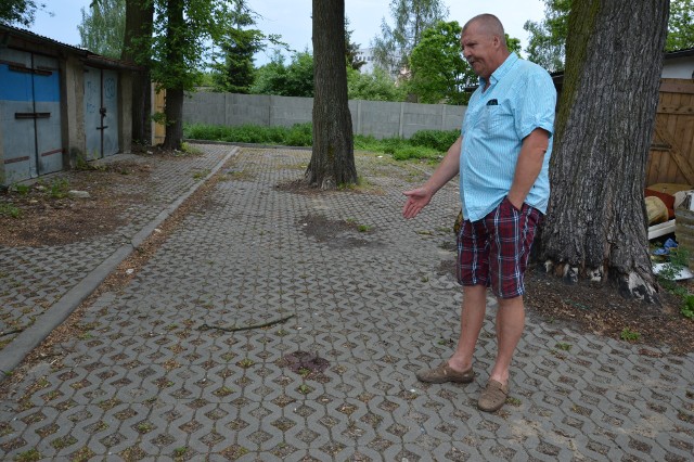 W tym miejscu na kobietę spadła gałąź - pokazuje nam Jerzy Tomaszewski.