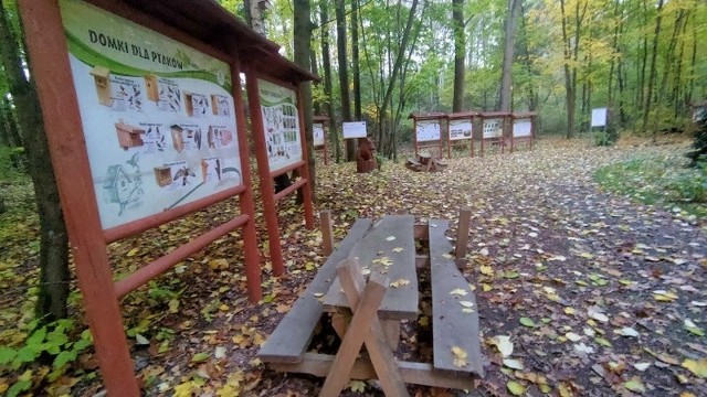 Park Rozkówka zaprasza jesienią na spacery Zobacz kolejne zdjęcia/plansze. Przesuwaj zdjęcia w prawo - naciśnij strzałkę lub przycisk NASTĘPNE