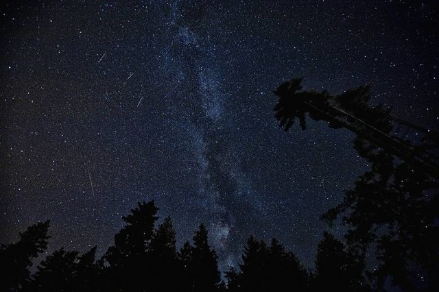 Geminidy na niebie! W nocy z 13 na 14 grudnia na niebie będzie można oglądać deszcz spadających gwiazd - meteory z roju geminidów. Dziś w nocy będzie można zobaczyć do 120 zjawisk na godzinę! Gdzie najlepiej oglądać geminidy?