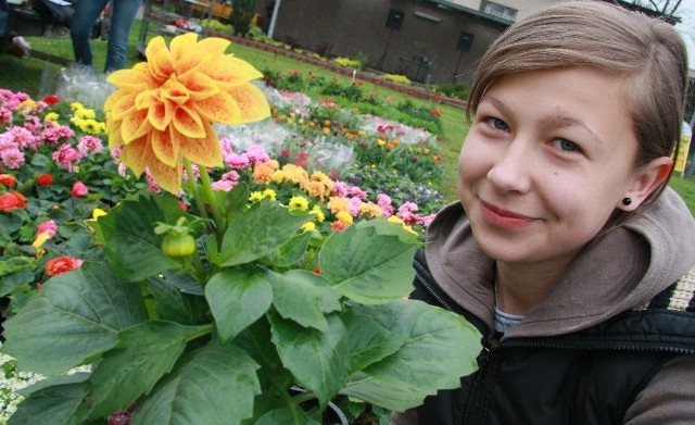 - Największym zainteresowaniem cieszą się kwiaty o jaskrawych barwach - mówi Michelle Wojciechowska z Trzciela.
