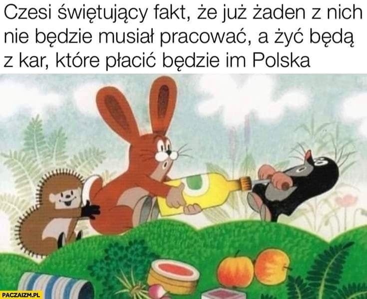 Czeskie memy to fenomen internetu i duża dawka świetnego...