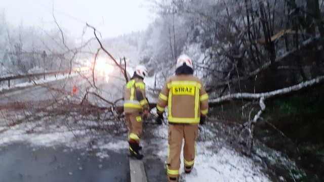 Gdy przyjdą wichury, strażacy mogą mieć pełne ręce pracy