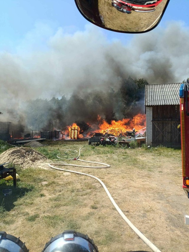Pożar budynków i lasu w miejscowości Maruszów.