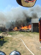 Pożar budynków i lasu w Maruszowie. W akcji dziewięć zastępów gaśniczych. Zobacz zdjęcia