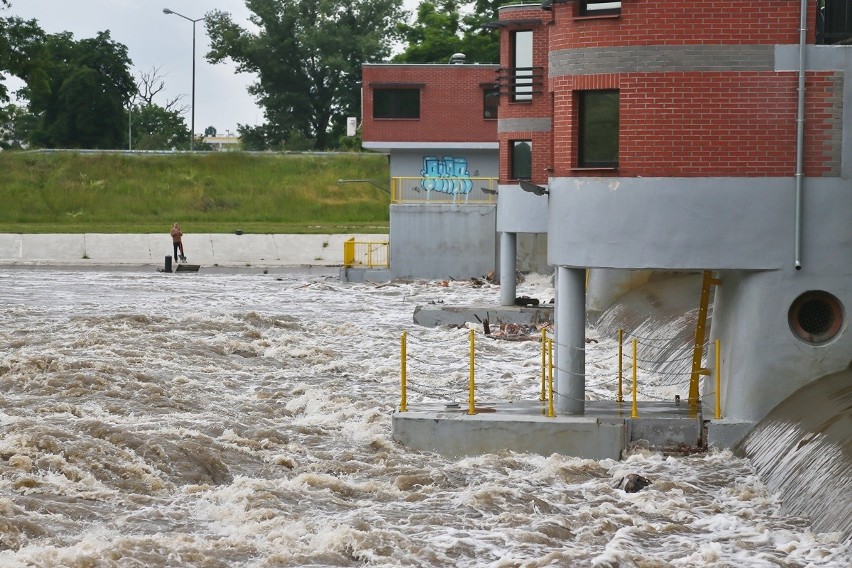 Wysoki poziom Odry we Wrocławiu. Woda zalewa przystań (ZDJĘCIA)