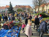 Brak planów na niedzielę? Na wodzisławskim Rynku trwa targ staroci. Zobacz, jakie perełki można na nim upolować! FOTO