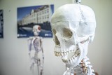 Wystawa modeli anatomicznych w Bibliotece SUM w Katowicach. Zobaczcie zdjęcia