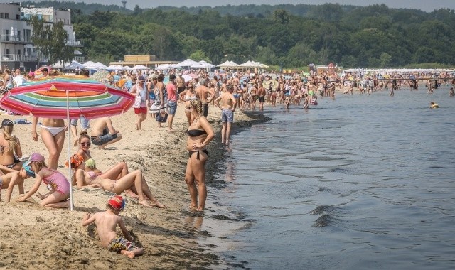 Zobacz w GALERII ZDJĘĆ dokąd jadą na wakacje łódzcy politycy