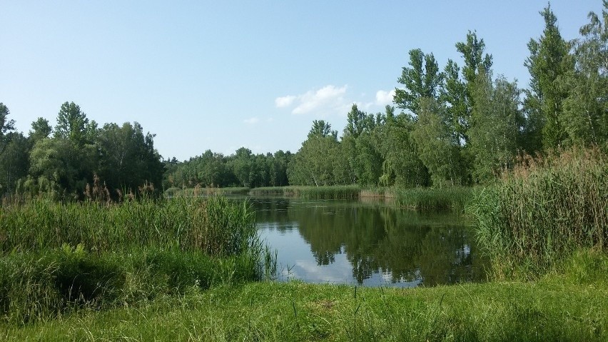 Obecnie Balaton jest opuszczonym, niestrzeżonym...