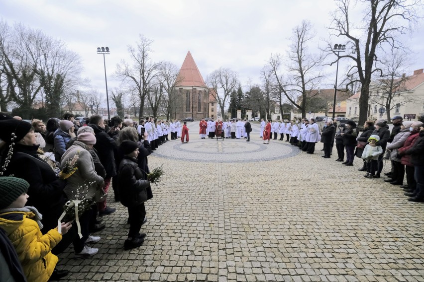 Arcybiskup Stanisław Gądecki poświęcił palmy na Ostrowie...