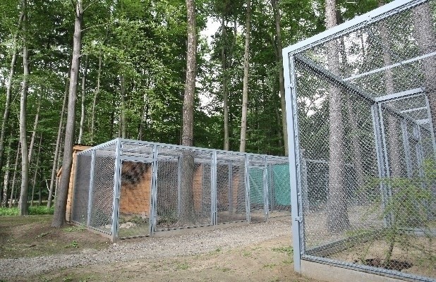 Na terenie ośrodka wybudowano nowe woliery dla zwierząt.