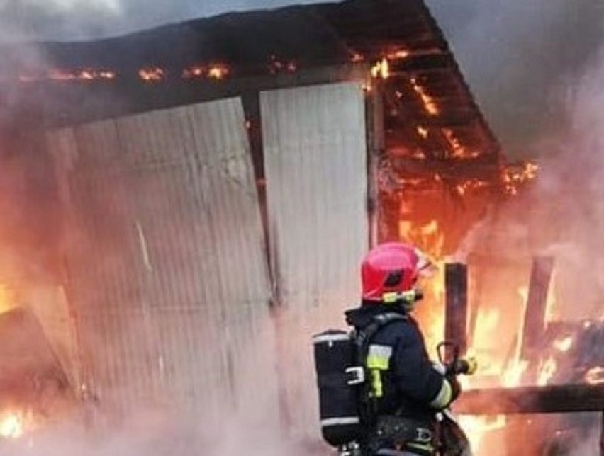 Pożar wybuchł 21 marca w Zielonej Górze Zatoniu. Strawił...