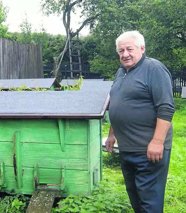 W ogrodzie pana Czesława stoi dziś 30 uli. Góral deklaruje zmniejszenie ich liczby, ale nie godzi się, by całkiem zniknęły