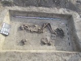 Wykopaliska w Pińczowie. Odkryto dwa groby - mają po około 4 tysiące lat! [ZOBACZ ZDJĘCIA]