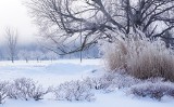 Prace ogrodowe w lutym: o czym należy pamiętać zimą? Jak zadbać o rośliny domowe? Zobacz, co czeka ogrodników w tym miesiącu