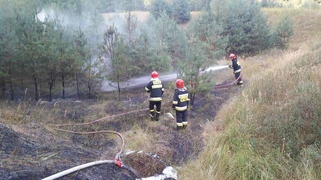 Od początku miesiąca grudziądzcy strażacy już kilkanaście razy gasili pożary poszycia leśnego. Wiele z ich akcji było prowadzonych w trudnych warunkach, a zdarzenia były niebezpieczne dla ludzi