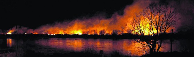 Jeden z pożarów suchych traw, z jakim zmagali się w sobotni wieczór strażacy. Widok przez Wisłę od strony Tarnobrzega na pożar po stronie świętokrzyskiej, w gminie Koprzywnica.