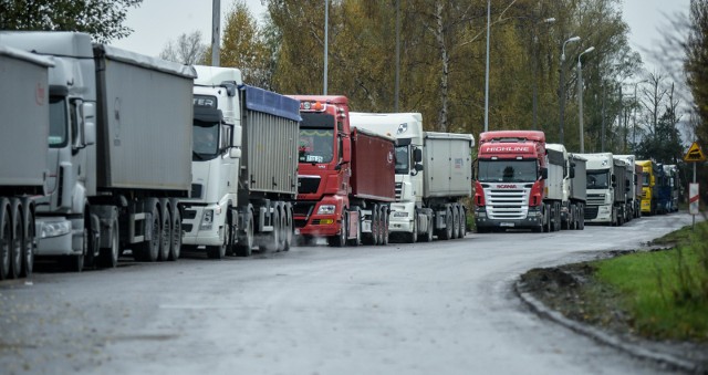 Kilkaset ciężarówek z ziarnem stało w czwartek w kolejce do gdańskiego portu
