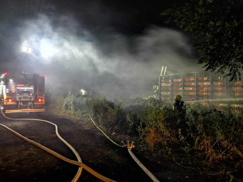 Straszny wypadek na Dolnym Śląsku. Spłonęło 3600 kurczaków