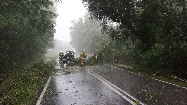 Burza uderzyła w niedzielne poołudnie najpierw w gminę Lisia Góra. Strażacy usuwali m.in. powalone drzewa na  drogach