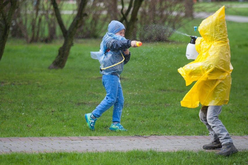 Śmigus-dyngus zwany także lanym poniedziałkiem to jedna z...