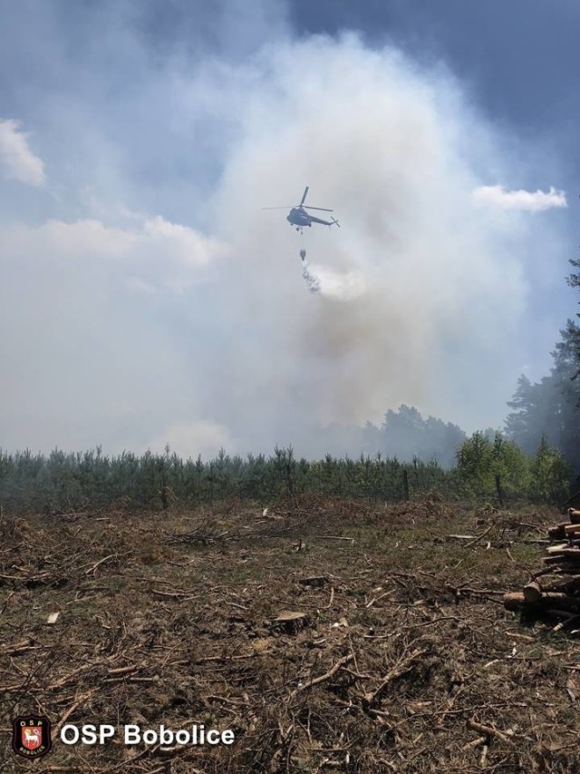 W czwartek w pobliżu miejscowości Kępiste w gminie Bobolice doszło do pożaru lasu. Działania gaśnicze, w których brały udział m.in dwa śmigłowce gaśnicze i dwa samoloty gaśnicze Dromader, trwały kilka godzin i zakończyły się w godzinach wieczornych.W działaniach brały również udział zastępy OSP Bobolice, JRG2 Koszalin, OSP Polanów, OSP Kłanino i OSP Drzewiany.Zobacz także Białogard: Akcja gaszenia pożaru opuszczonej hali