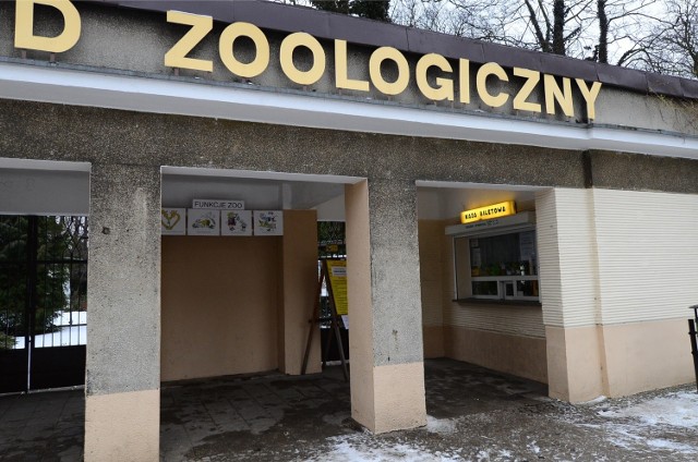 Stare Zoo: Uśpiono 35 żółwi. Dlaczego?