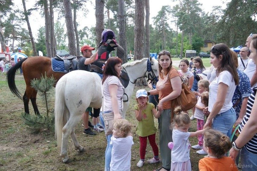 Dzień Puszczy Kozienickiej z dużą dawką muzyki oraz dobrego humoru. Zagrali Enej i Afromental