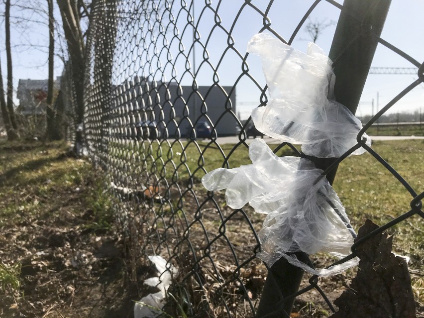 Fruwający problem - wiatr rozwiewa lekkie, jednorazowe rękawiczki, których słupszczanie nie wyrzucają do kosza