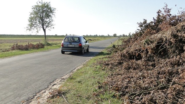 Droga z Klwowa w kierunku Przysuchy będzie gruntownie przebudowana. Na razie ekipy budowlane rozpoczęły prace przygotowawcze od wycinki drzew z poboczy.