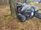Opel wbił się bagażnikiem w drzewo. Prowadził 20-latek