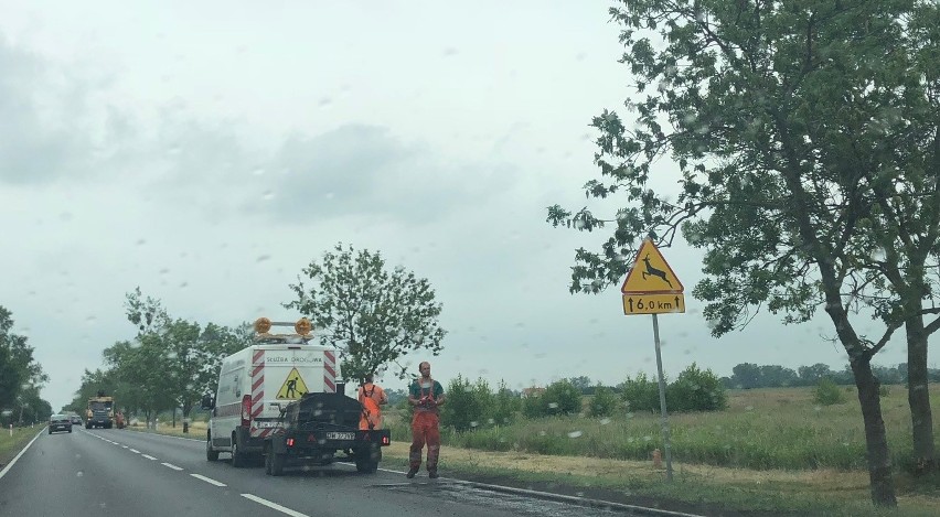 Uwaga kierowcy! Remontują drogę Wrocław - Oława. Są korki
