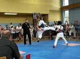 Puchar Świata w Karate Kyokushin. Kilkuset najwybitniejszych zawodników z 30 krajów będzie rywalizować