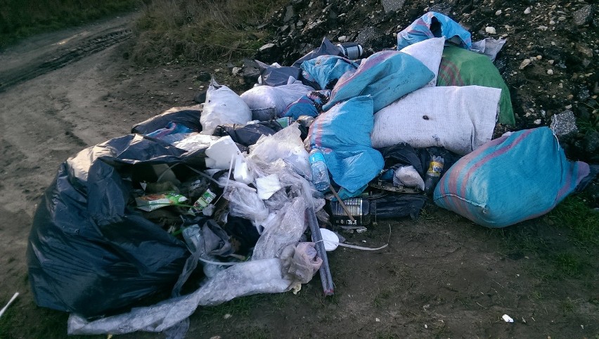 Olkusz. Brudne posesje pod lupą