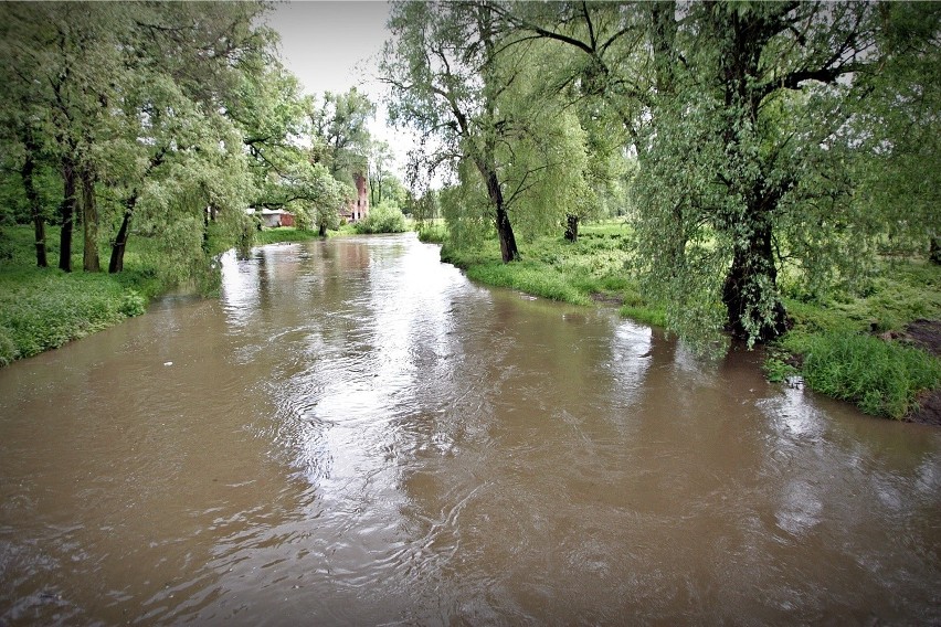 rzeka Bystrzyca, Jarnołtów