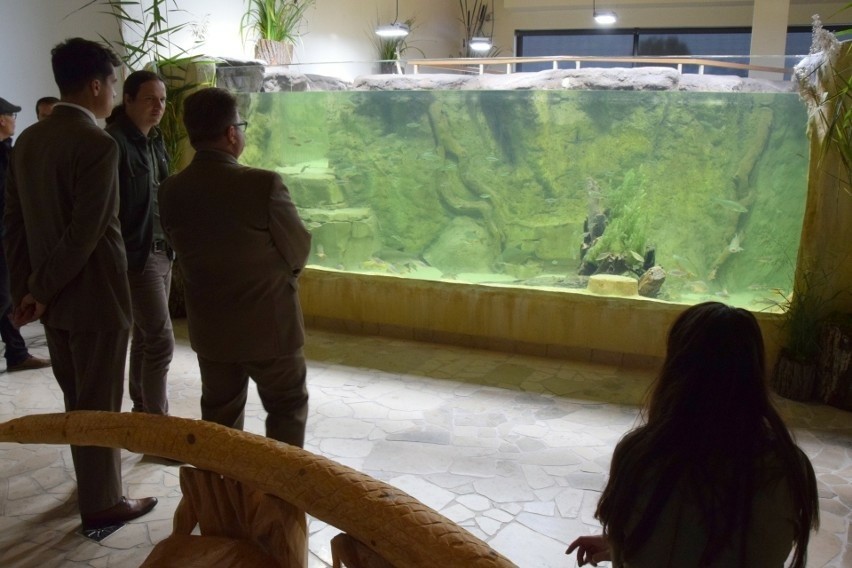 To największe akwarium w województwie! Centrum Edukacji Przyrodniczej w Umianowicach odwiedziło już 12 tysięcy gości. Zobaczcie film